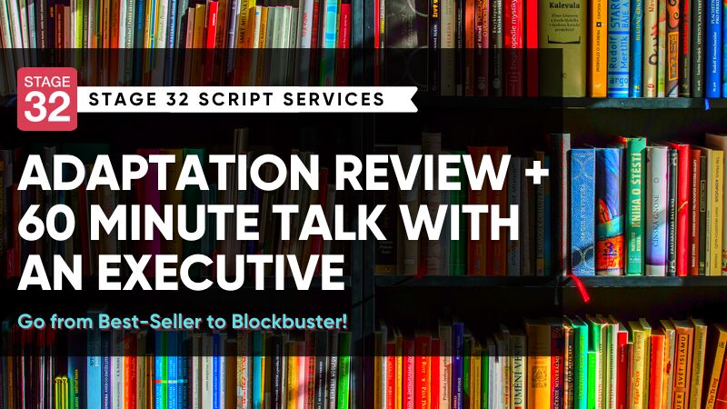 Adaptation Review & 60 Minute Call with an Executive