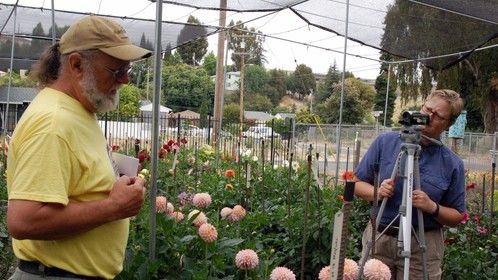 Vicki Bacon (August 2012) Shooting Dahlias 100.5 segment with John Morton