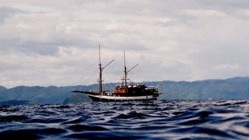 Waigeo Island, Raja Ampat, West Papua