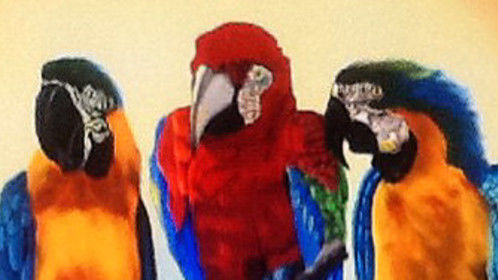 The Three Macaws