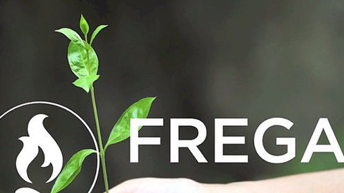 This provides an excellent incentive for literally thousands of developers to come onboard and offer their apps on the Frega Platform.  Not only are they able to rapidly generate development capital through Frega Co-investors, but they also benefit from a hungry market looking for tools they can use INSIDE the Ecosystem thereby increasing the revenues that they receive back as a daily passive income. To know more about Frega Philippines please visit here : - https://frega-philippines.blogspot.com/

