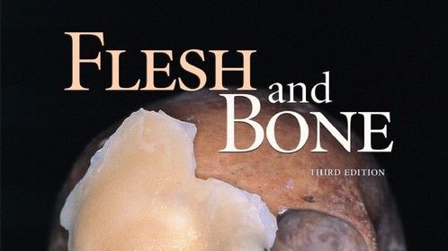 Flesh and Bone