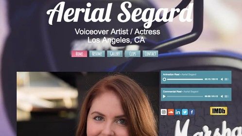 New website for the new year! Ready to kick things off! https://www.aerialsegard.com/