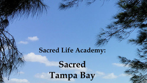 The premier region for SLA is the Tampa Bay area of Florida