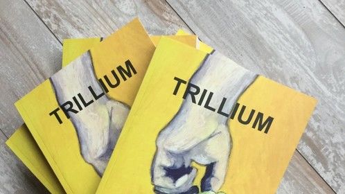 New release - Canadian novel TRILLIUM by MLHolton