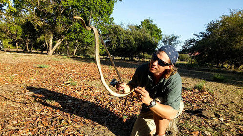 Wrangling a Spitting Cobra 