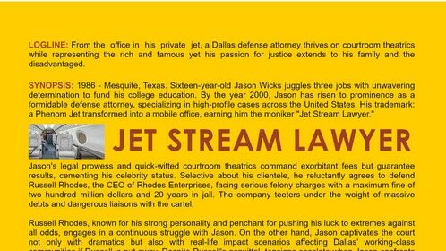 JET STREAM LAWYER - LOGLINE &amp; SYNOPSIS