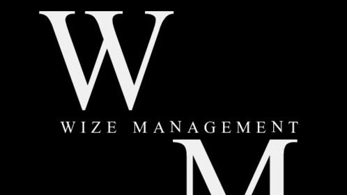 The Brand of Wize