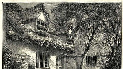 Hermit James's main living area with bars and tree trunks on windows