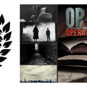 OP-DEC: Operation Deceit