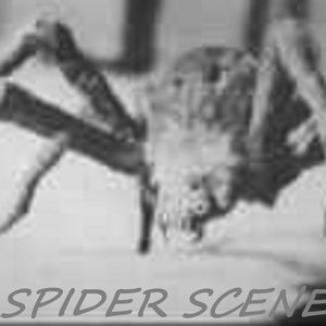 Spider Scenes