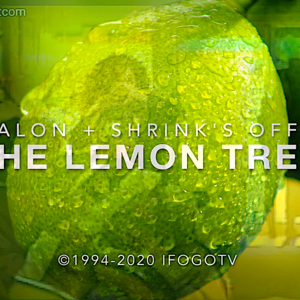 The Lemon Tree - Sitcom Pilot