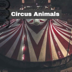 Circus Animals