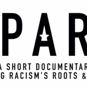 Spark: A Systemic Racism Story