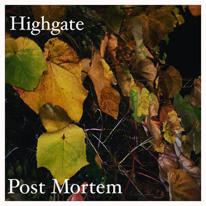 Highgate Post Mortem