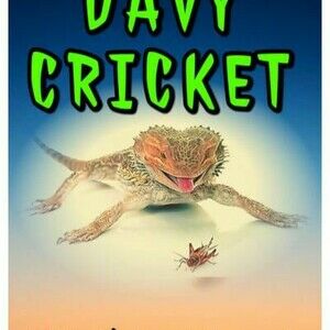 Davy Cricket