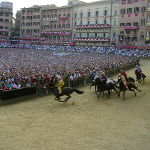 Girl of The Palio