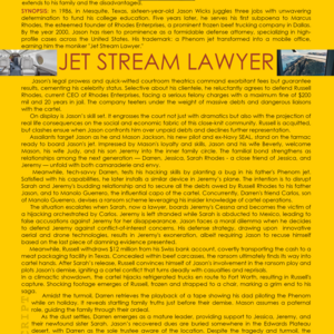 JET STREAM LAWYER