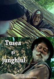 Tusea si junghiul