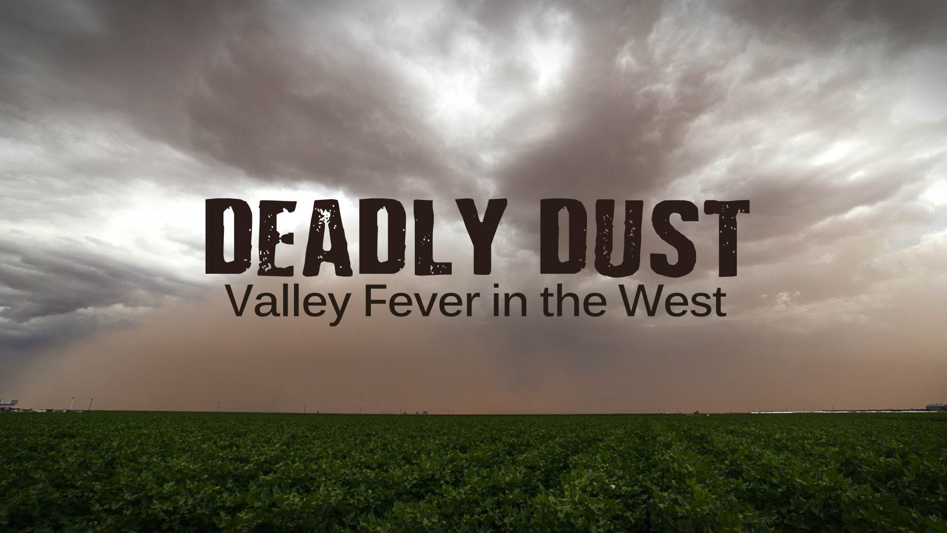 ViewFinder - Deadly Dust: Valley Fever in the West