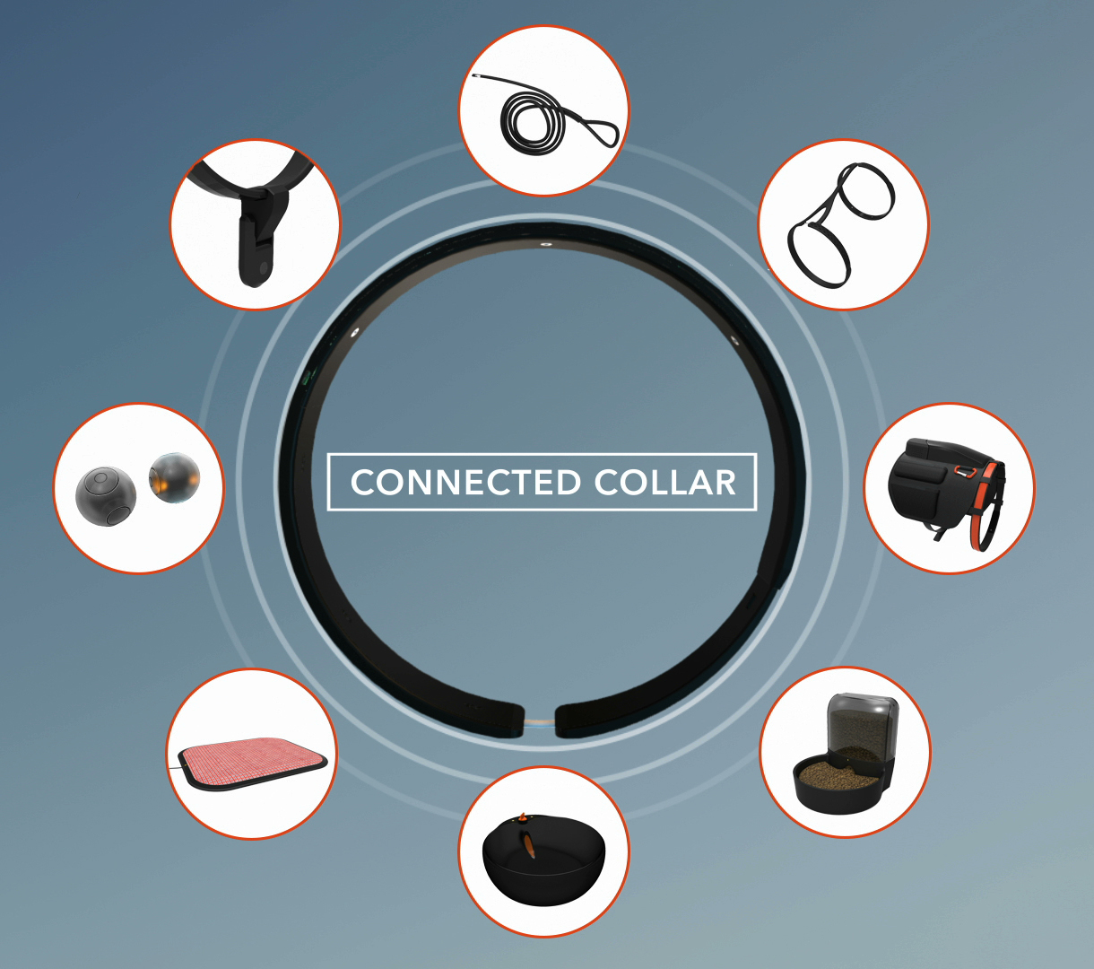 Dogtelligent Smart Collar