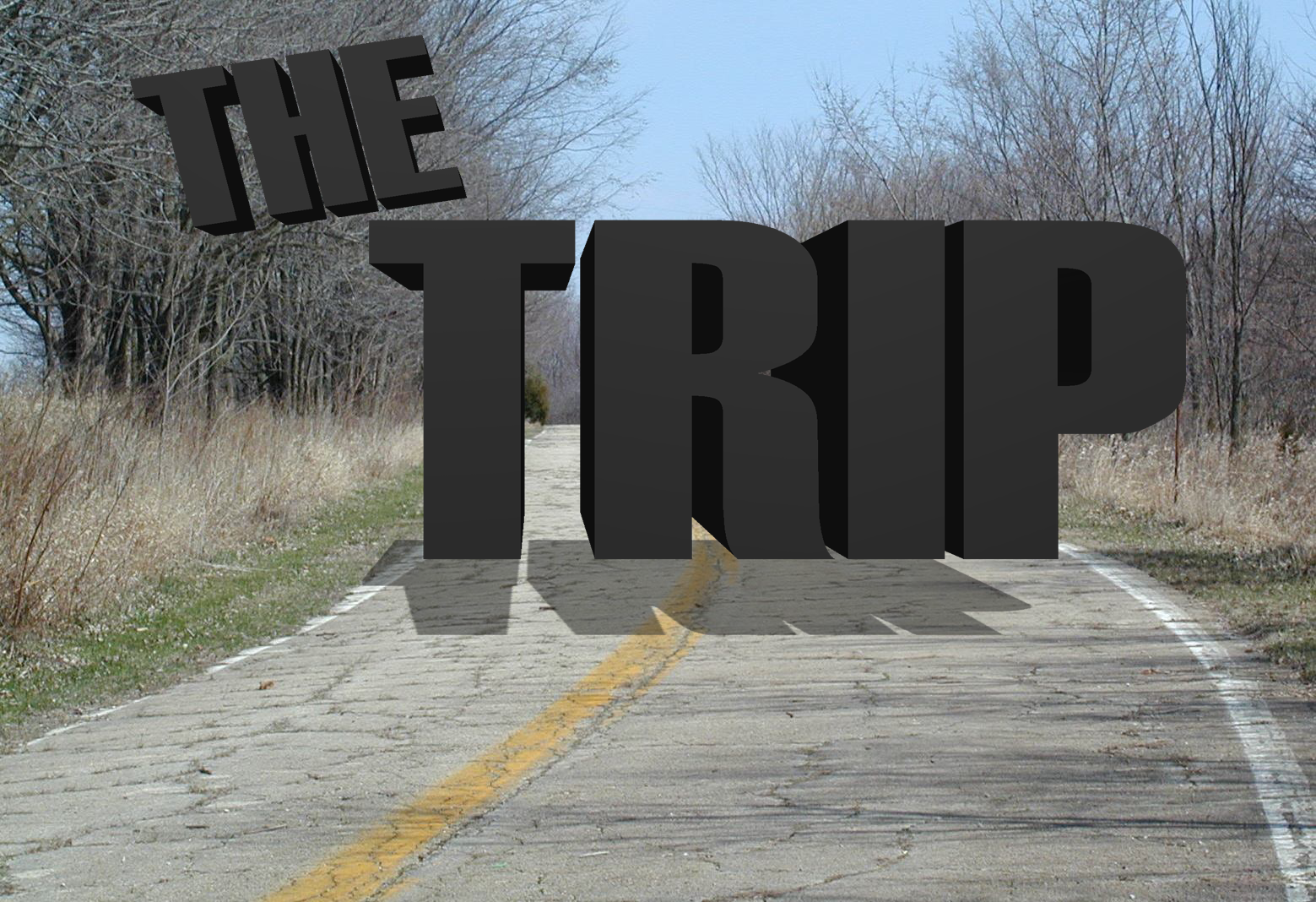 The Trip