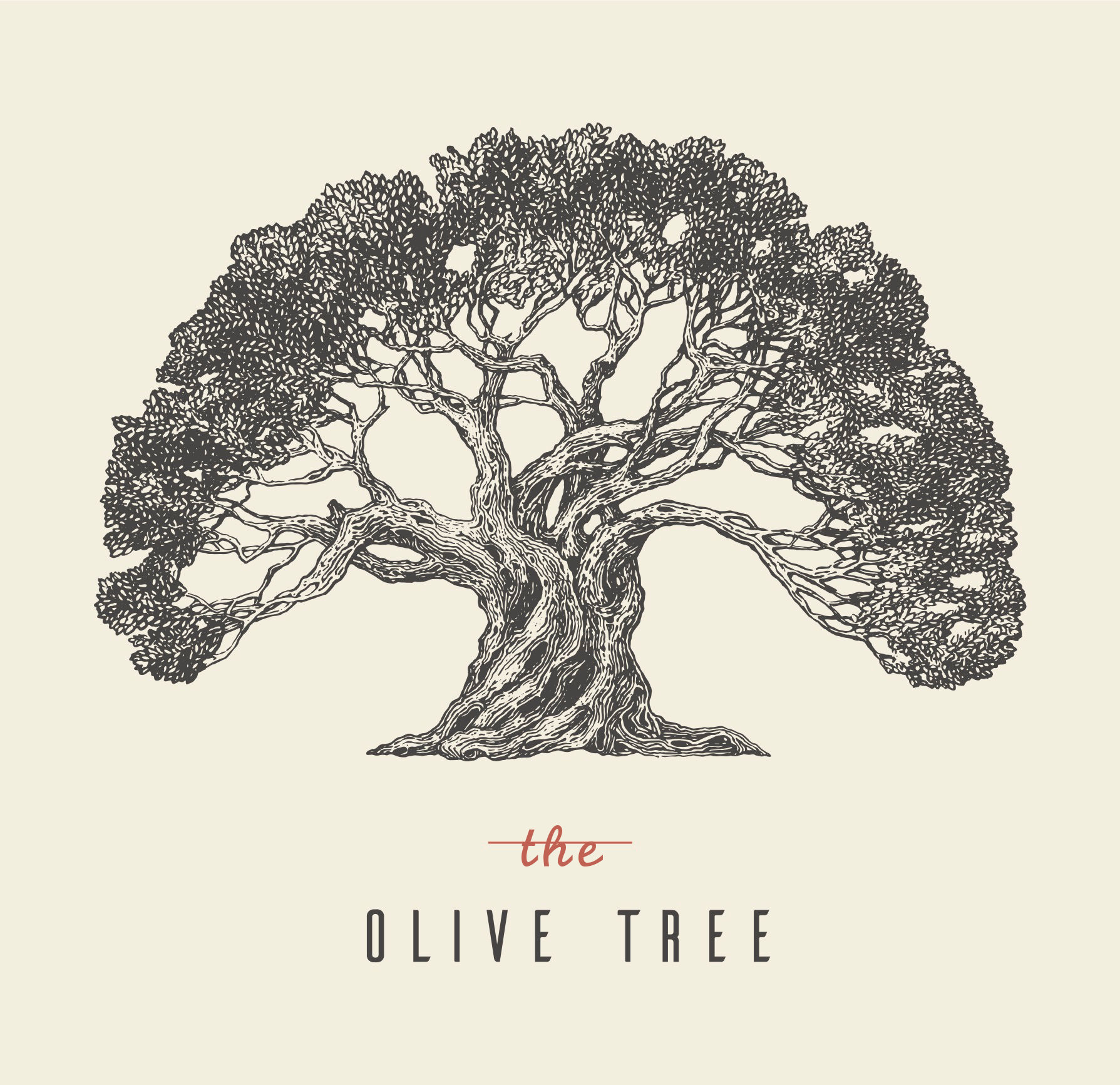 The Olive Tree