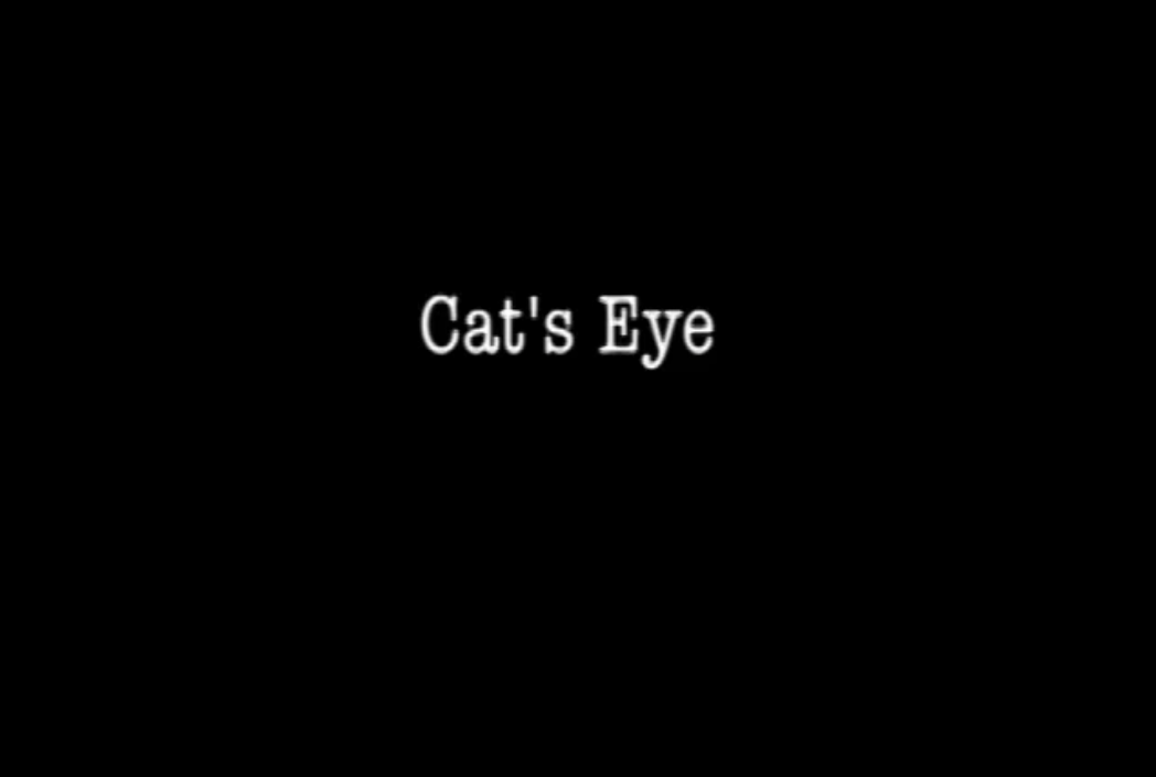 Margaret Atwood's Cat's Eye