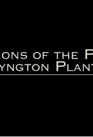 Visions of the Past: Wessyngton Plantation