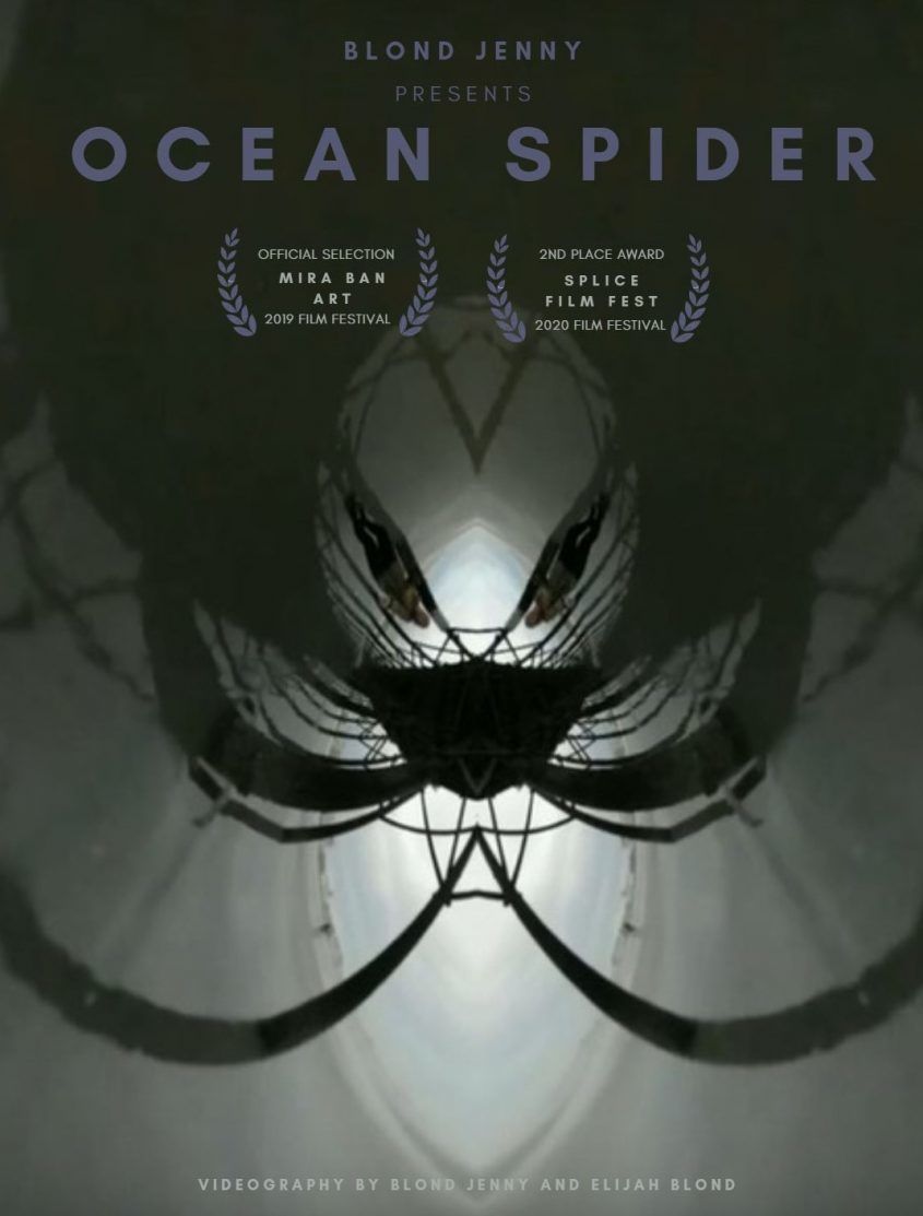 OCEAN SPIDER 