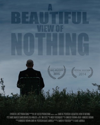 A Beautiful View of Nothing