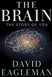 The Brain with Dr. David Eagleman