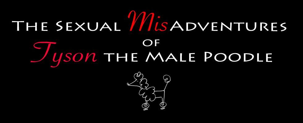 The Sexual MisAdventures of Tyson the Male Poodle