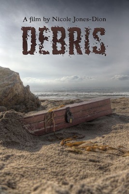 Debris