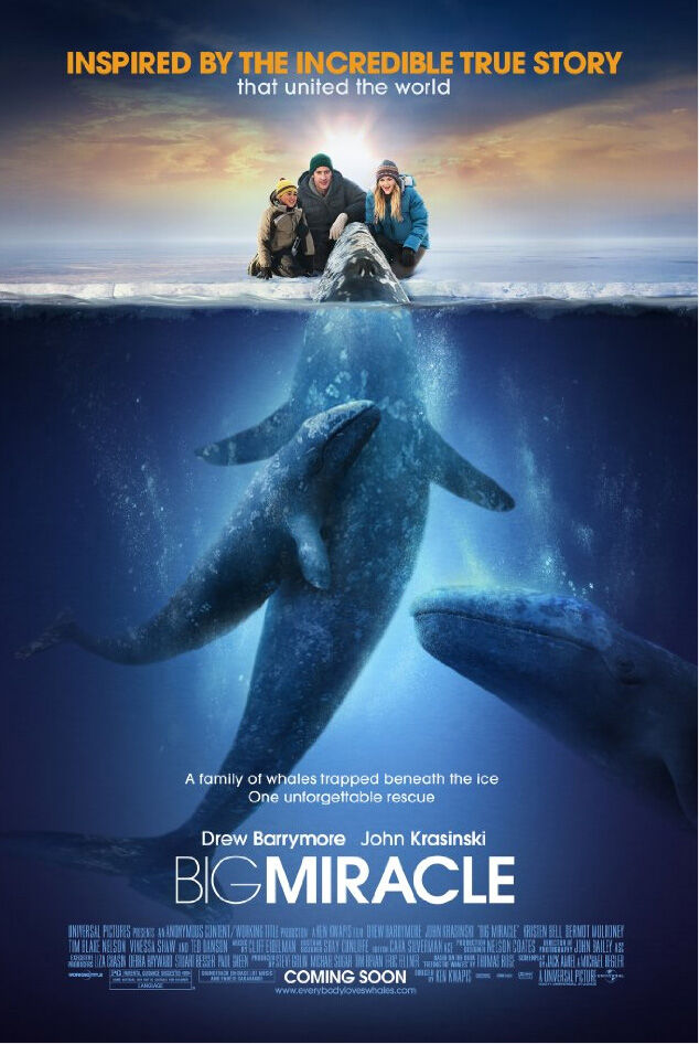 Big Miracle