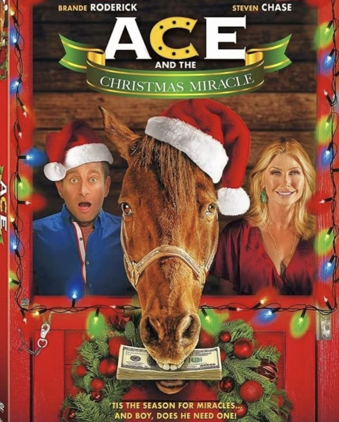 Ace and the Christmas Miracle