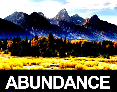 ABUNDANCE