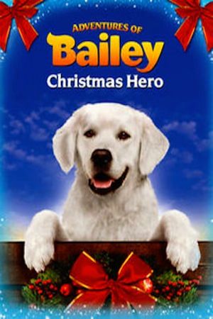 "Adventures of Bailey Part II: A Christmas Hero"