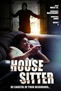 House Sitter