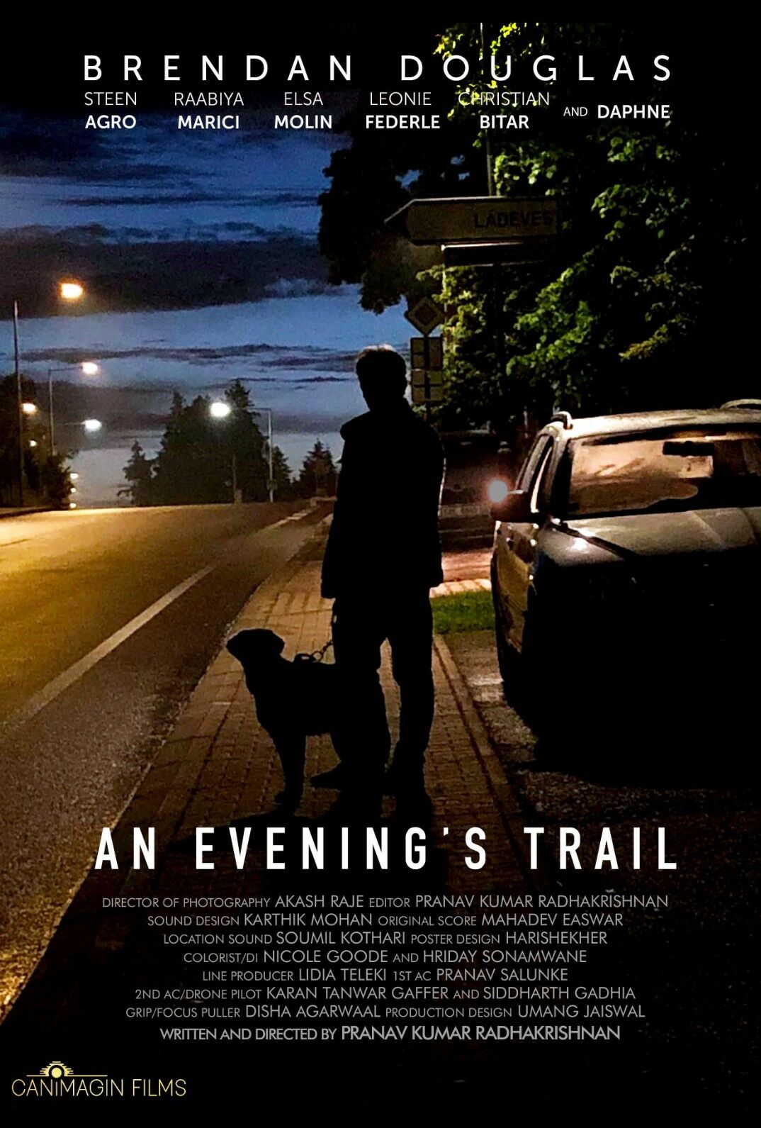 An Evening's Trail