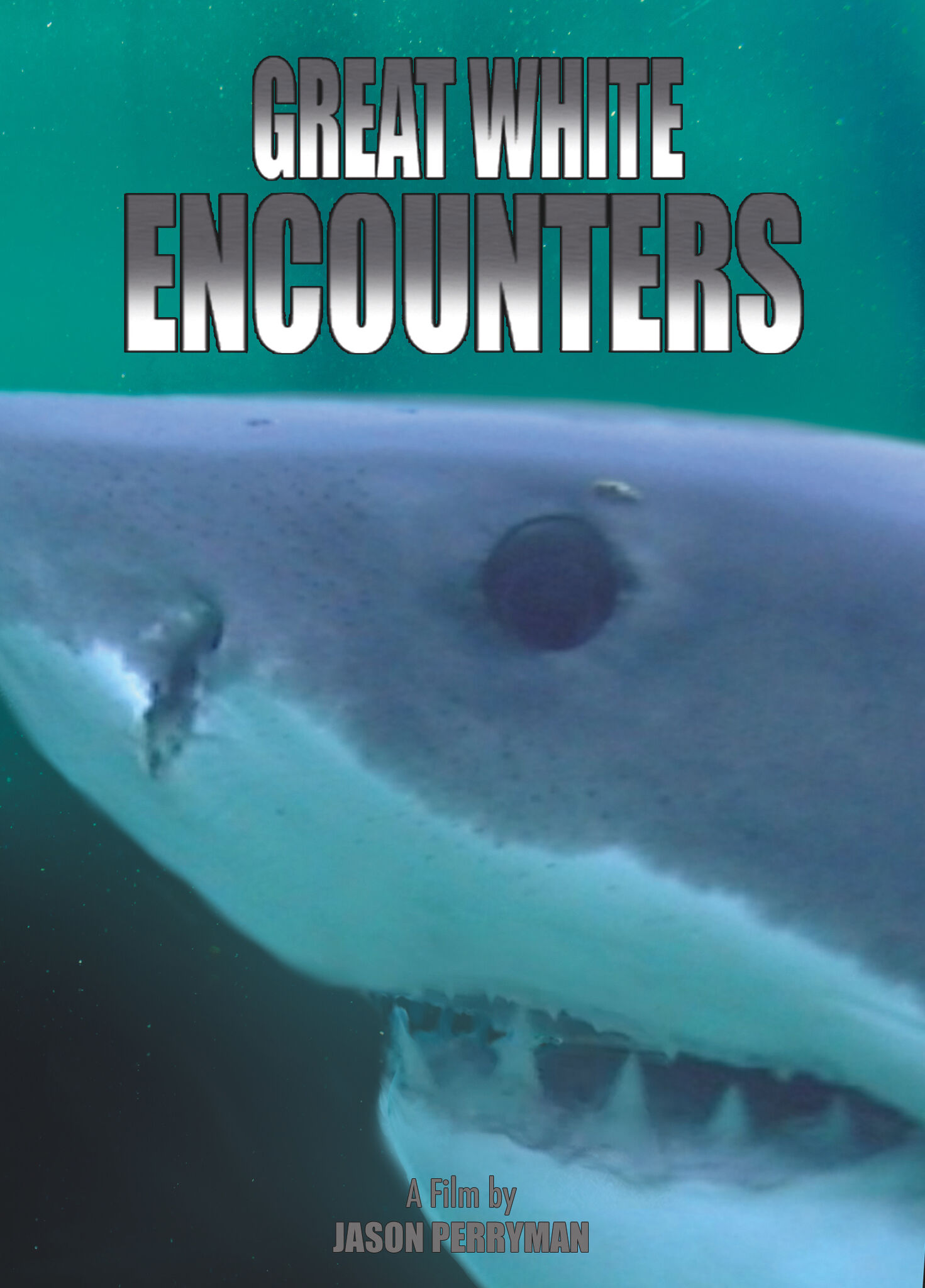 GREAT WHITE ENCOUNTERS