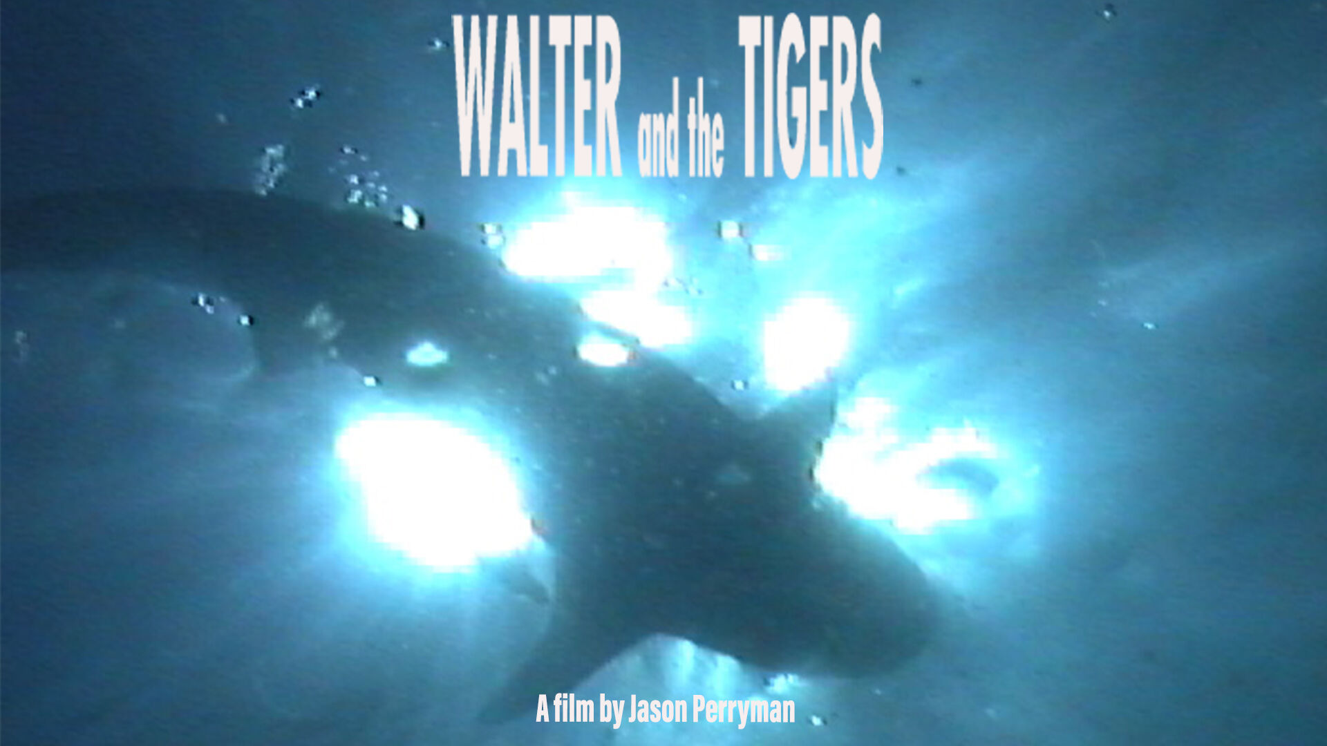 WALTER AND THE TIGERS