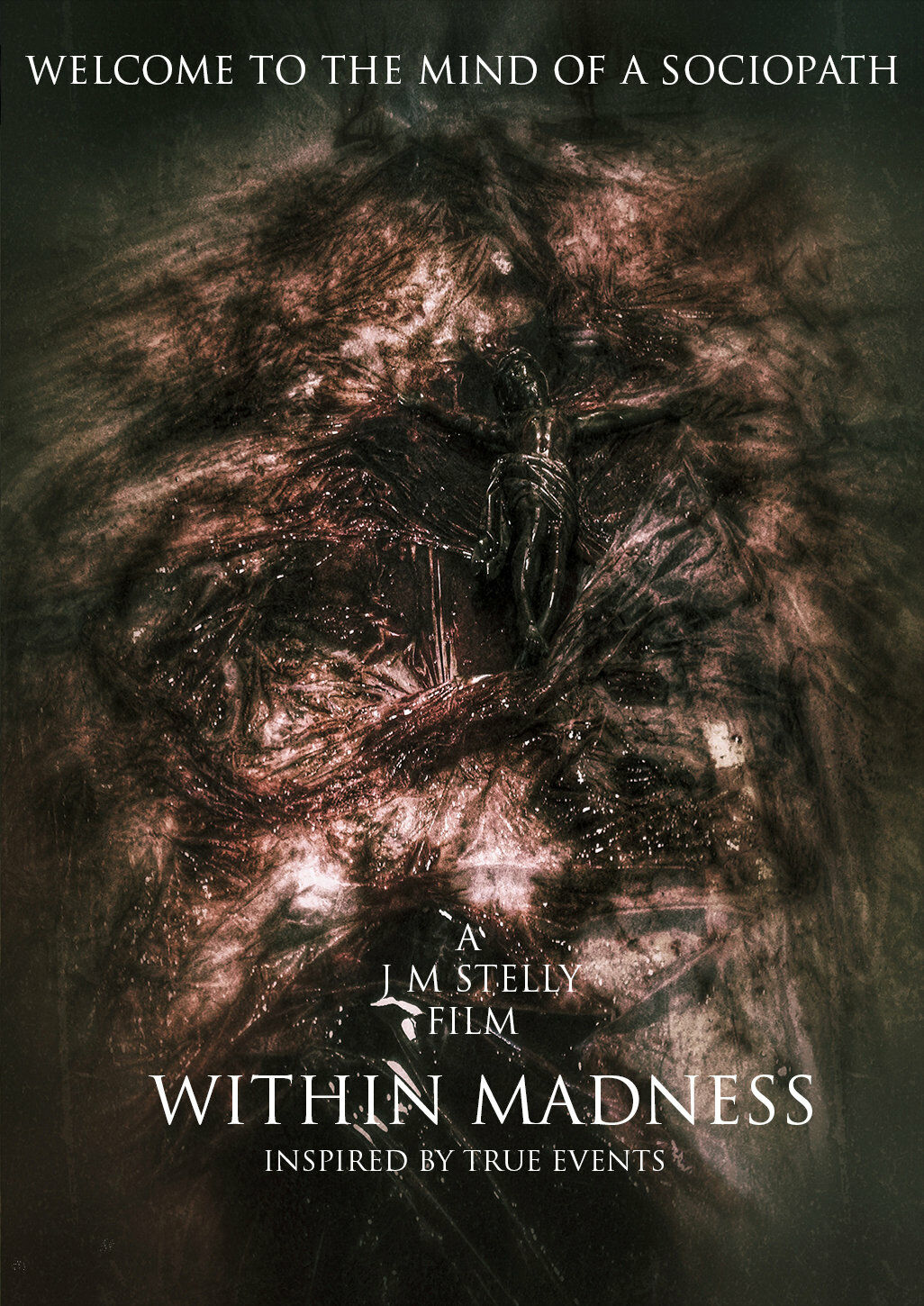 WITHIN MADNESS