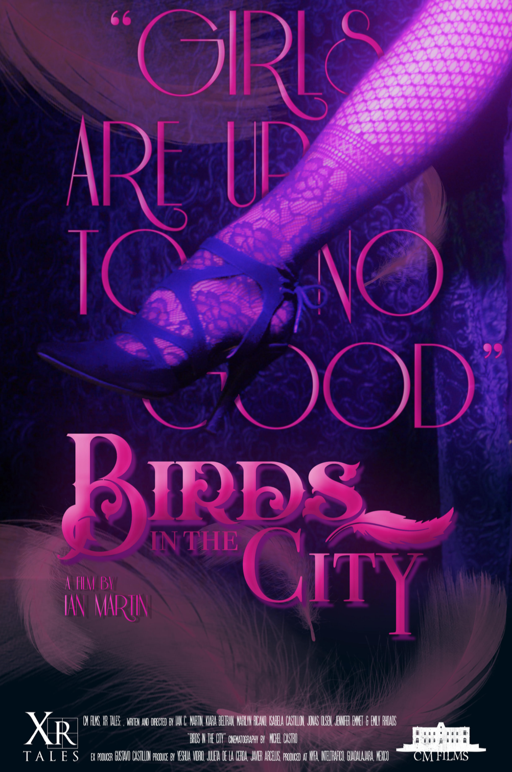 Birds in The City