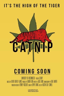 Catnip