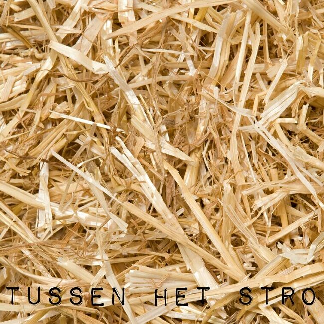 Tussen Het Stro