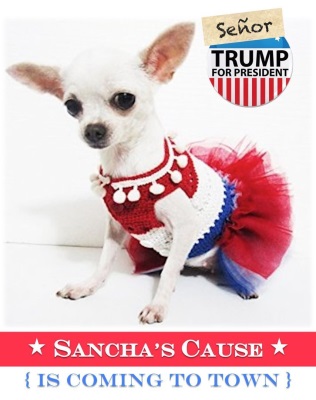 Sancha's Cause: Is Coming to Town