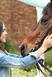 A Cowgirl's Story