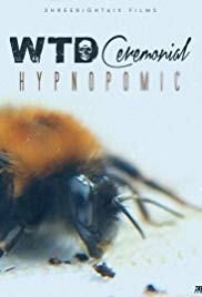 WTD Ceremonial: Hypnopompic