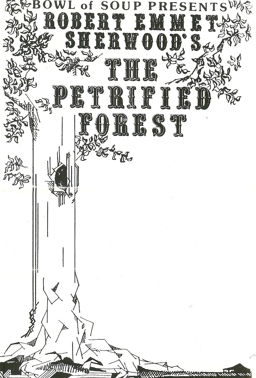 The Petrified Forrest